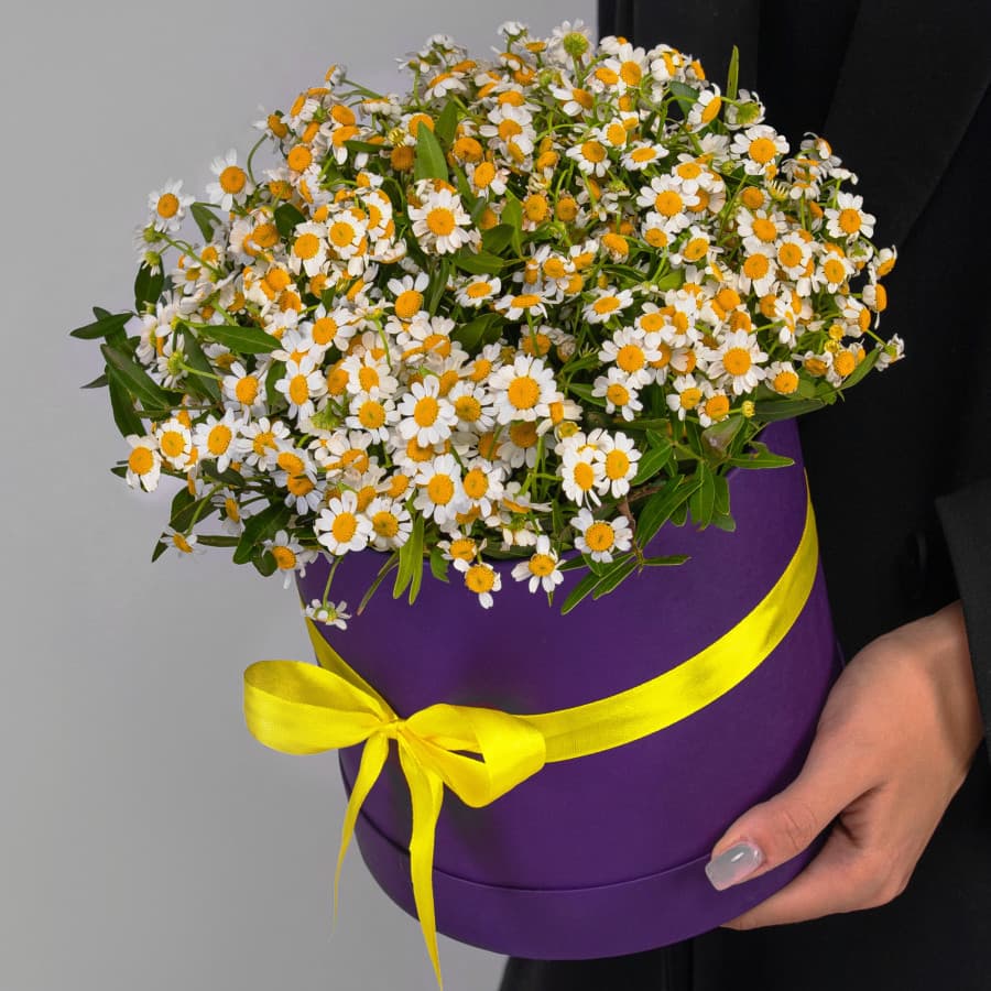 Красивая композиция из 15 кустовых ромашек в шляпной коробке