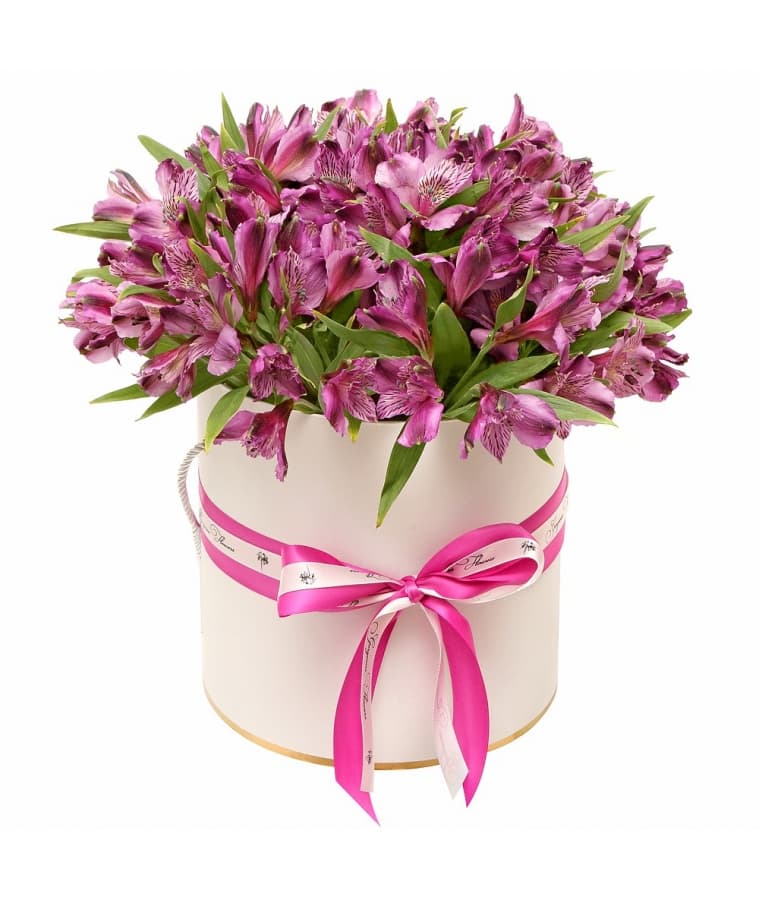 Популярная композиция из 25 альстромерий в шляпной коробке (микс из ассортимента)