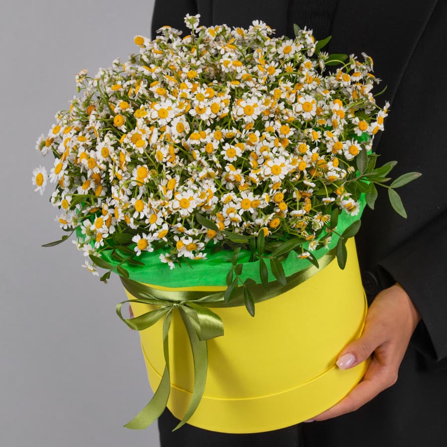 Праздничная композиция из 25 кустовых ромашек в шляпной коробке