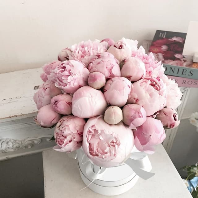 Праздничная композиция из 31 пионов в шляпной коробке (цвет на выбор из ассортимента) Праздничная композиция из 31 пионов в шляпной коробке (цвет на выбор из ассортимента)