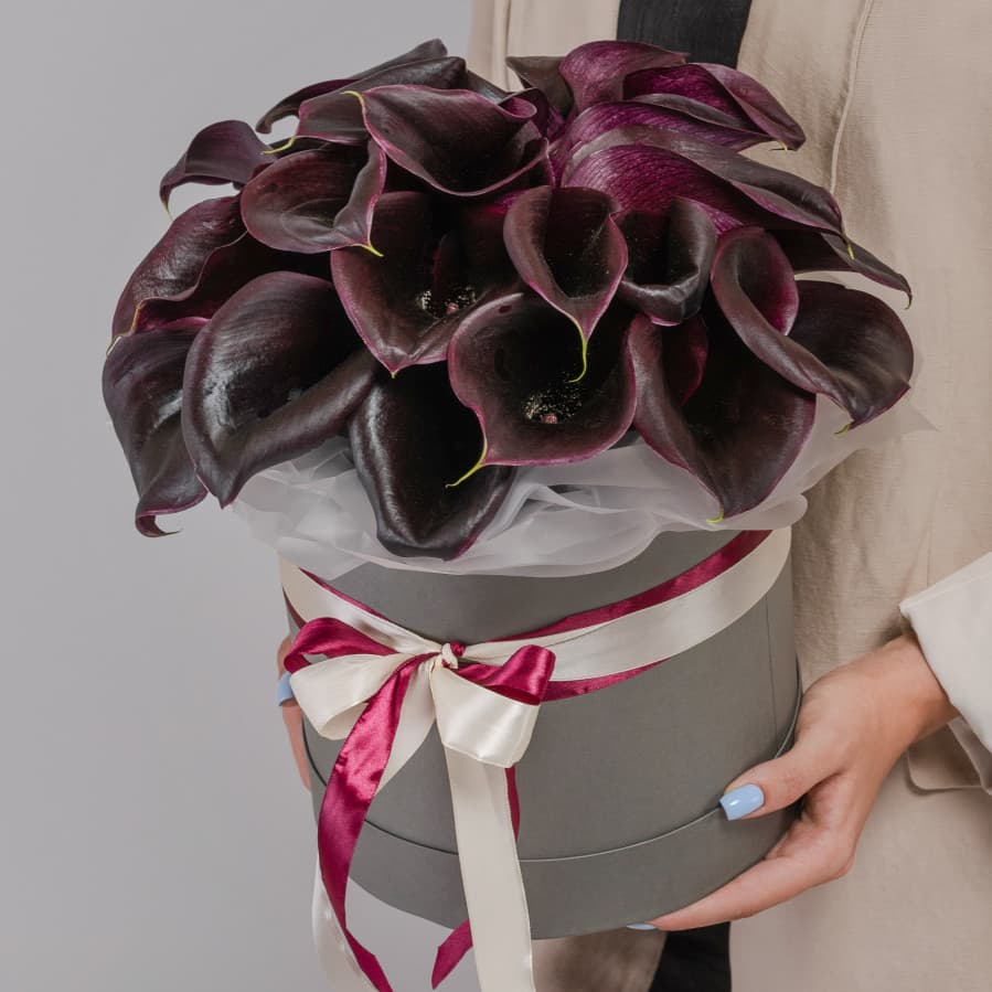 35 Черных Калл в шляпной коробке (цвет на выбор из ассортимента)