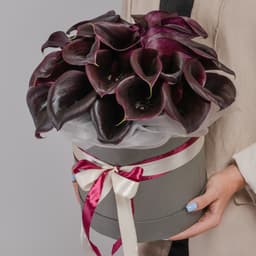 35 Черных Калл в шляпной коробке (цвет на выбор из ассортимента)