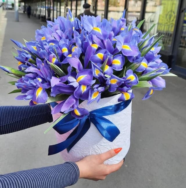 35 ирисов в шляпной коробке 35 ирисов в шляпной коробке