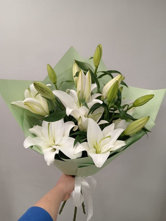 бекет пушкинская 03012152 бекет пушкинская 03012152