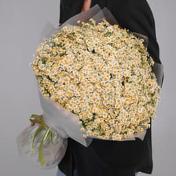 Роскошный букет 101 Кустовая Ромашка