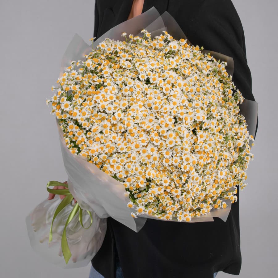 Роскошный букет 101 Кустовая Ромашка