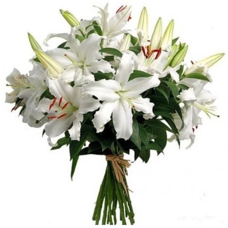 Цветочный букет 11 Лилий в ассортименте Цветочный букет 11 Лилий в ассортименте
