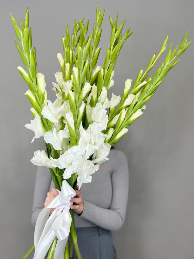 Букет 15 Гладиолусов Букет 15 Гладиолусов