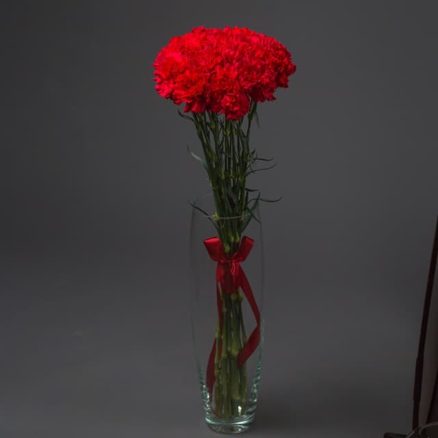 Красочный букет из 15 Красных Гвоздик Красочный букет из 15 Красных Гвоздик