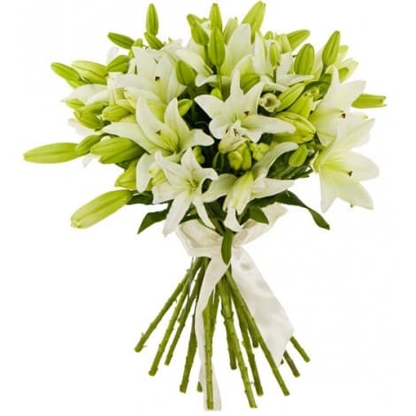 Оригинальный букет 15 Лилий в ассортименте
