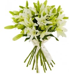 Оригинальный букет 15 Лилий в ассортименте