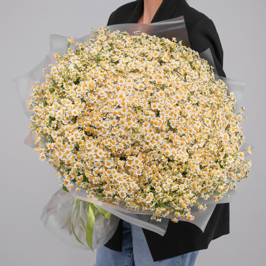 Букет 151 Ромашка Кустовая