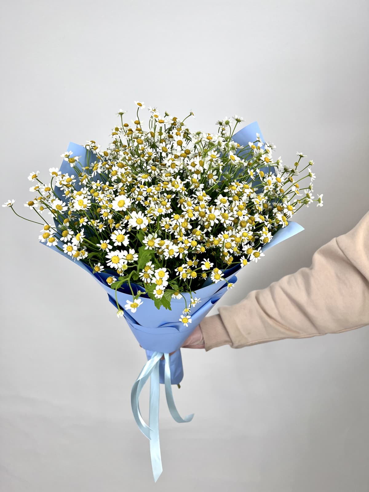 Шикарный букет 21 Кустовая Ромашка