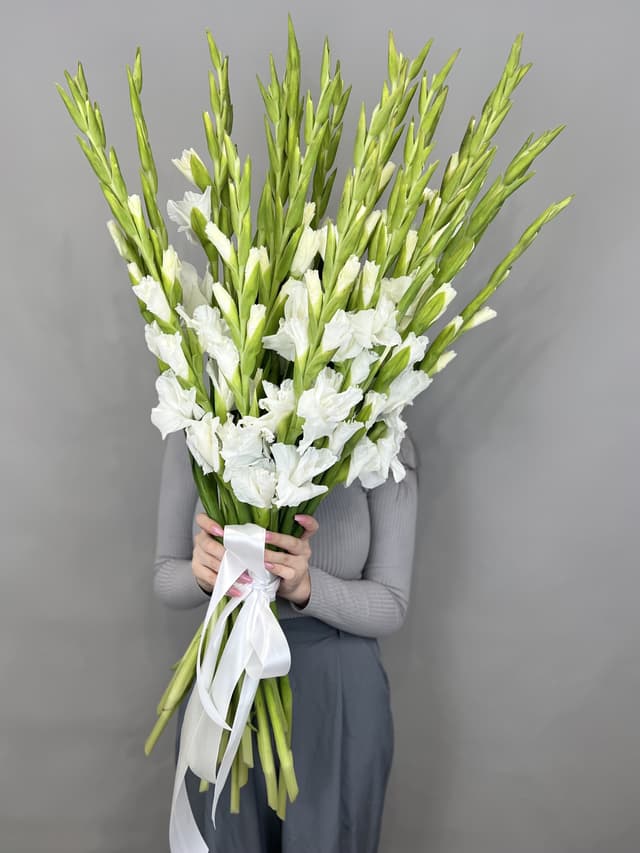 Букет 25 Гладиолусов Букет 25 Гладиолусов