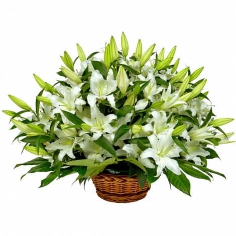 Праздничный букет 25 Лилий в корзине в ассортименте Праздничный букет 25 Лилий в корзине в ассортименте
