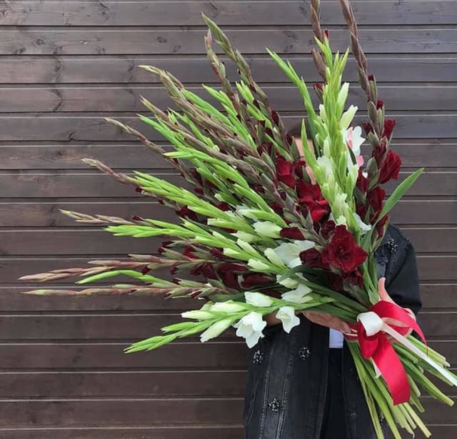 Букет 31 Гладиолус Букет 31 Гладиолус