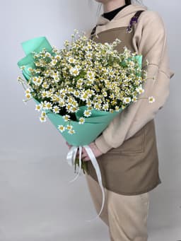 Букет 35 Кустовых Ромашек в матовой бумаге