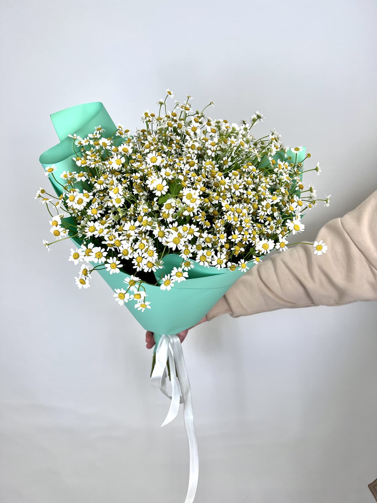 Букет 35 Кустовых Ромашек в матовой бумаге
