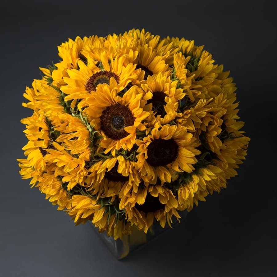 Букет 35 Подсолнухов