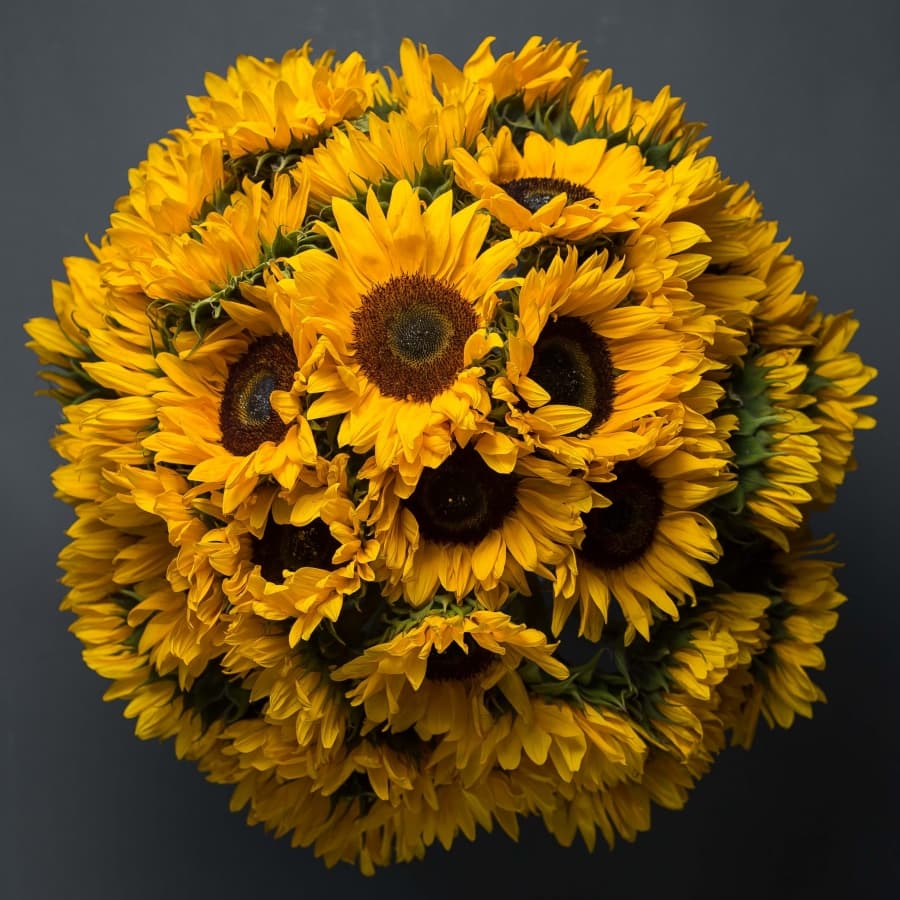 Букет 35 Подсолнухов