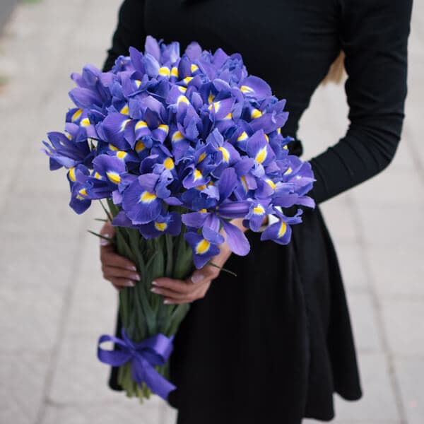 Букет 45 ирисов Букет 45 ирисов