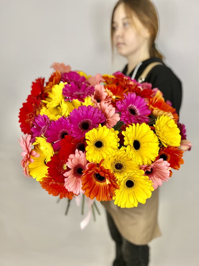 Букет 51 Гербера Микс Букет 51 Гербера Микс