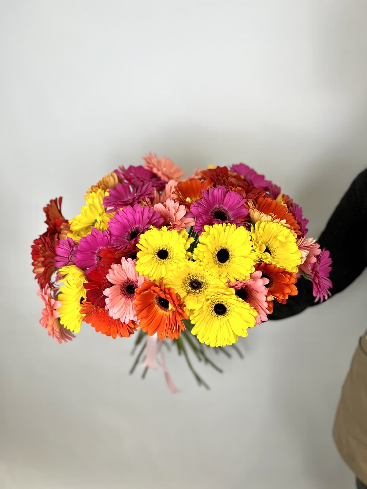 Букет 51 Гербера Микс