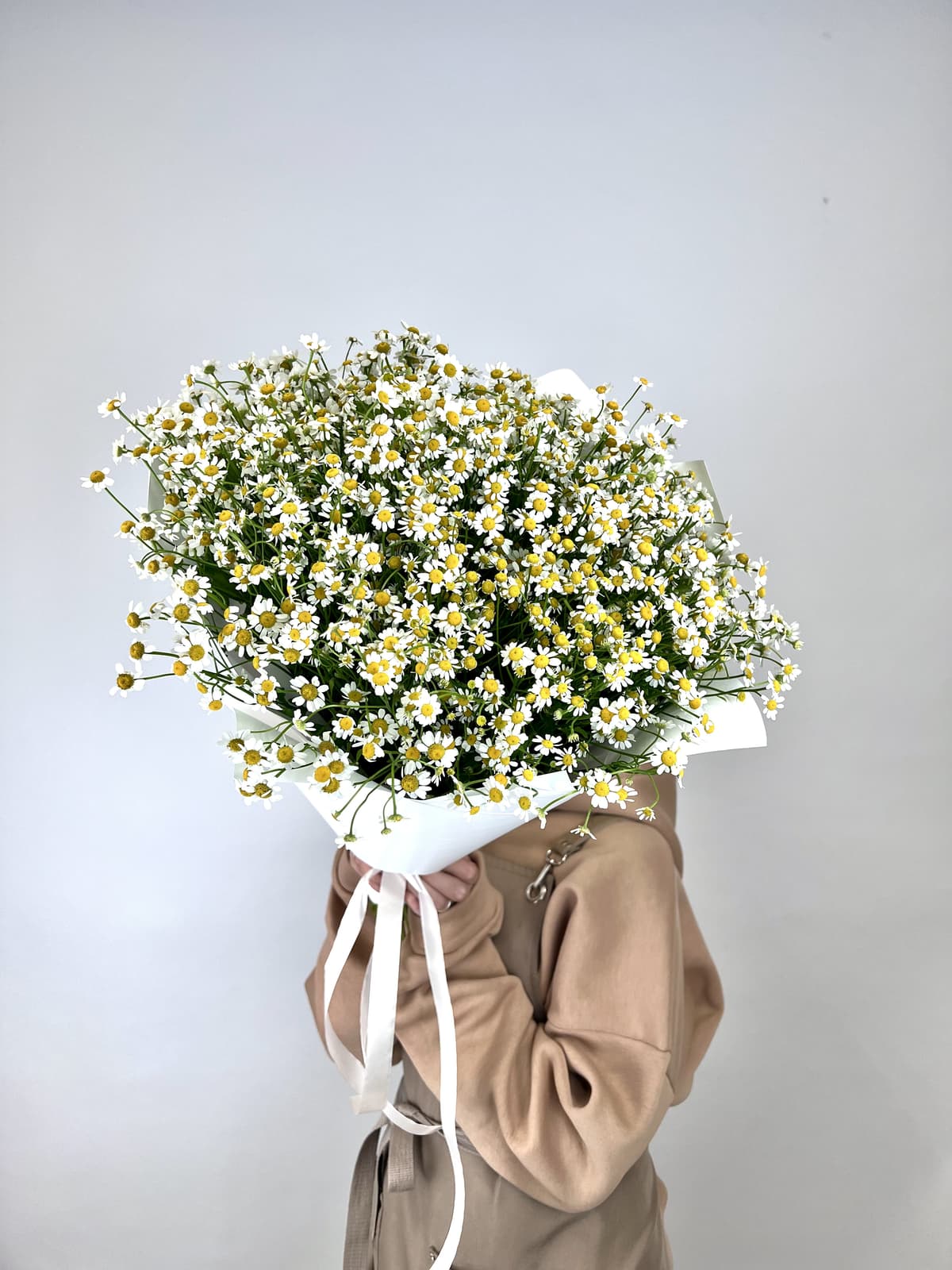 Букет 51 Кустовая Ромашка в матовой бумаге
