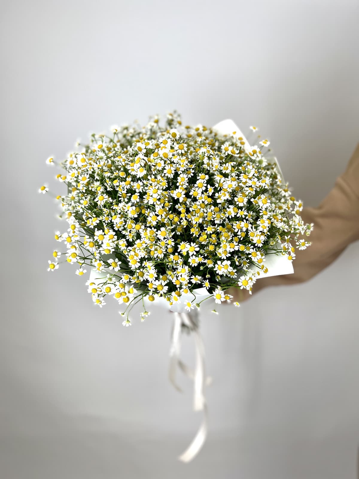 Букет 51 Кустовая Ромашка в матовой бумаге