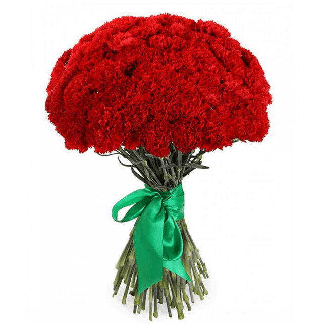 Праздничный букет 75 Красных Гвоздик Праздничный букет 75 Красных Гвоздик