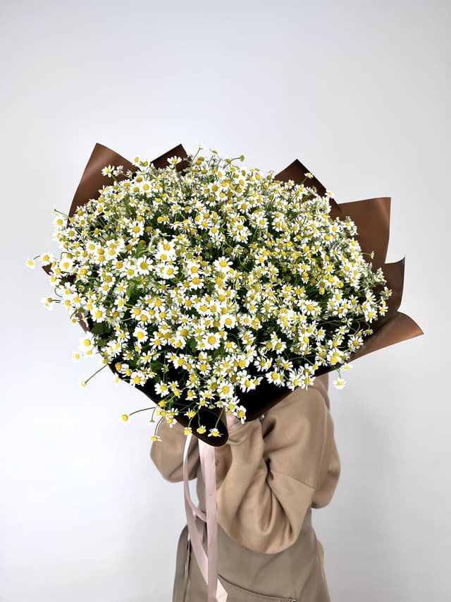 Шикарный букет 75 Кустовых Ромашек Шикарный букет 75 Кустовых Ромашек