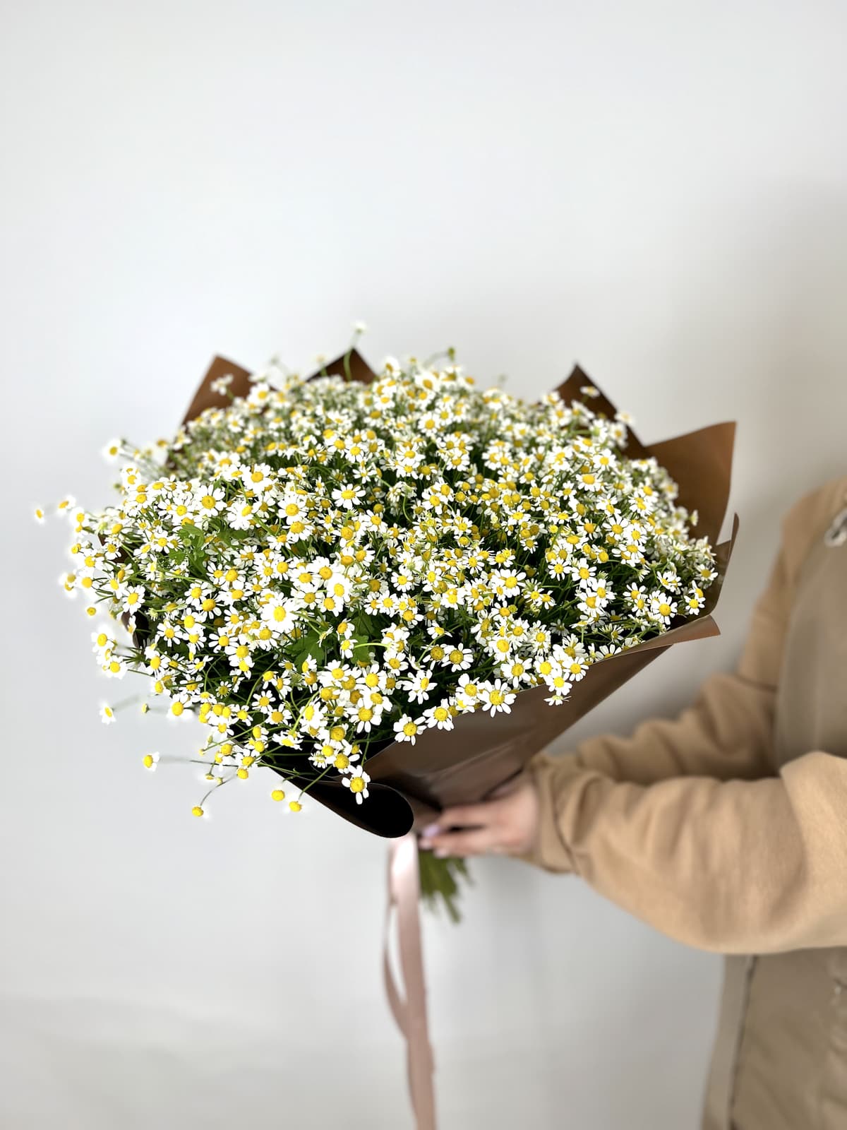 Шикарный букет 75 Кустовых Ромашек