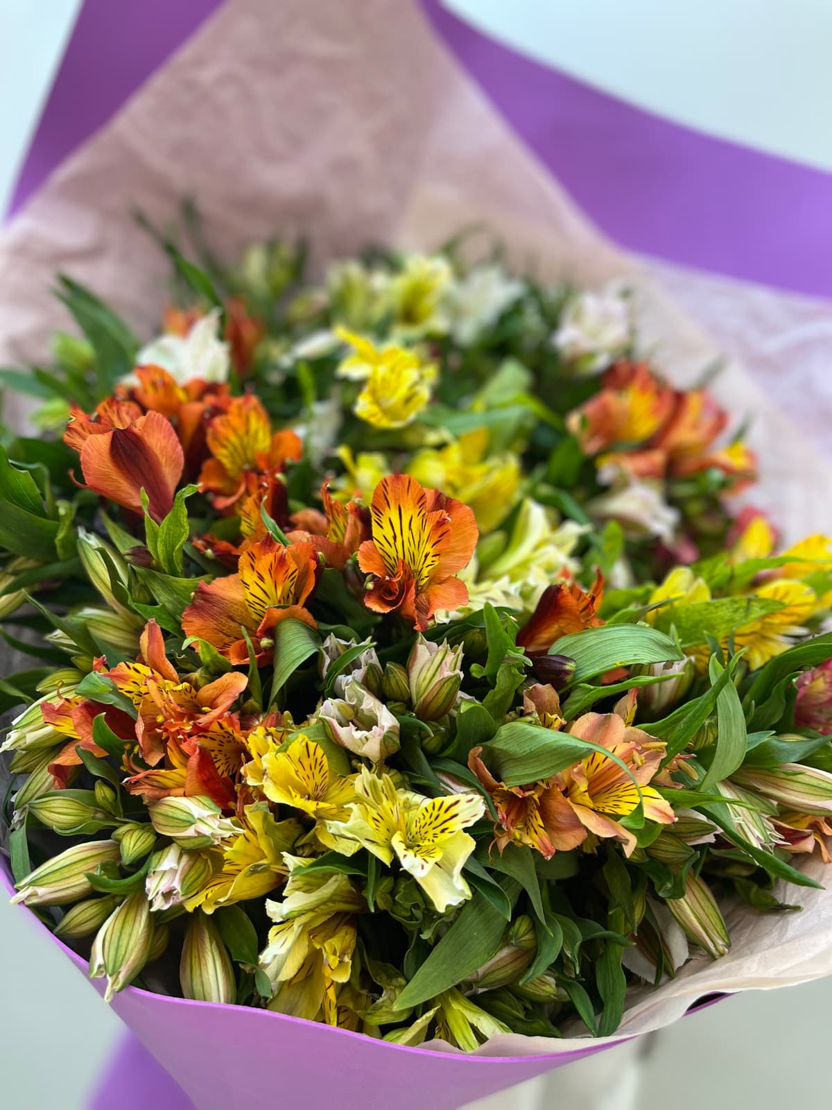 Любимый букет "Альстромерия" L