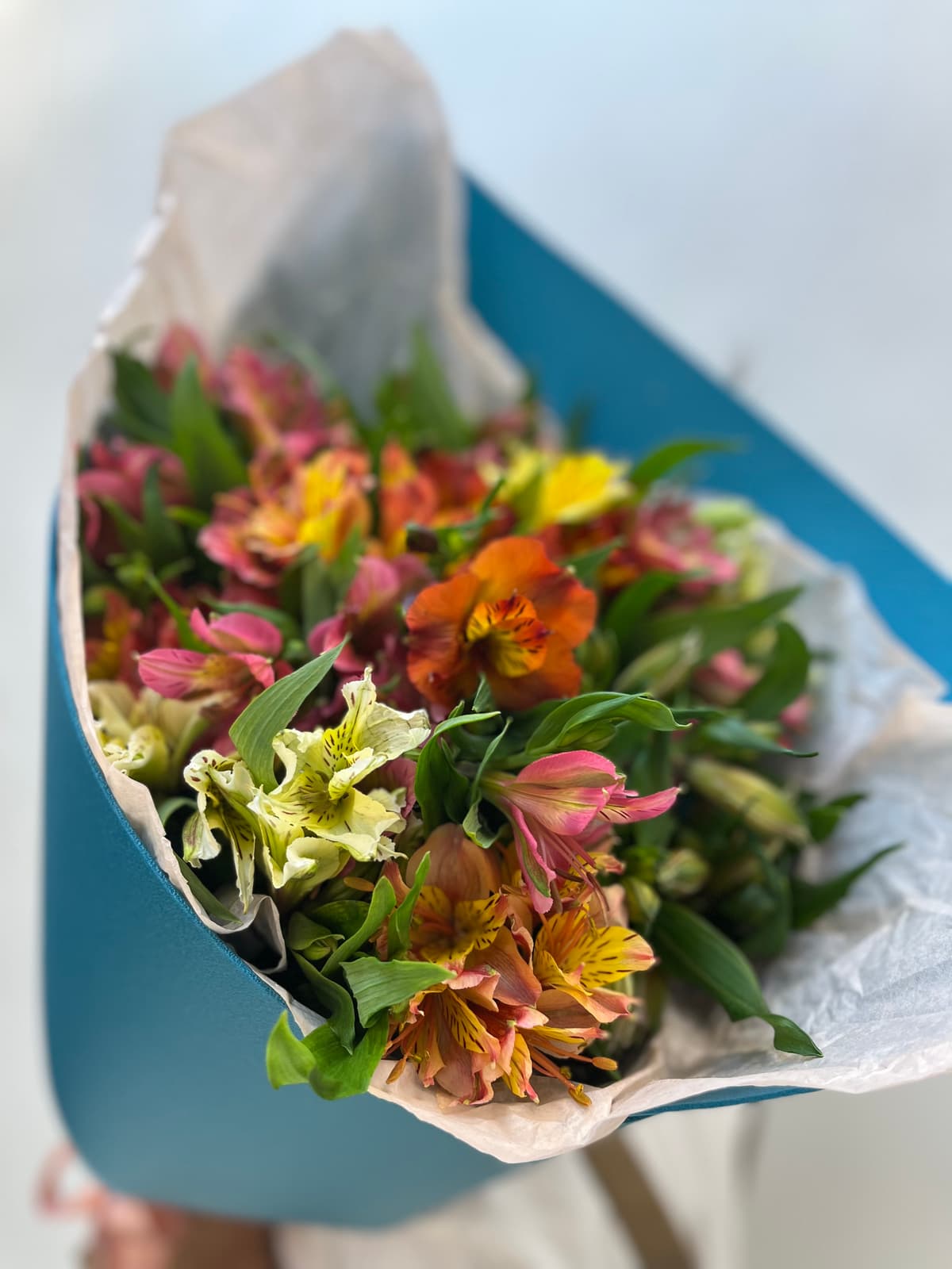 Свежий букет "Альстромерия" S