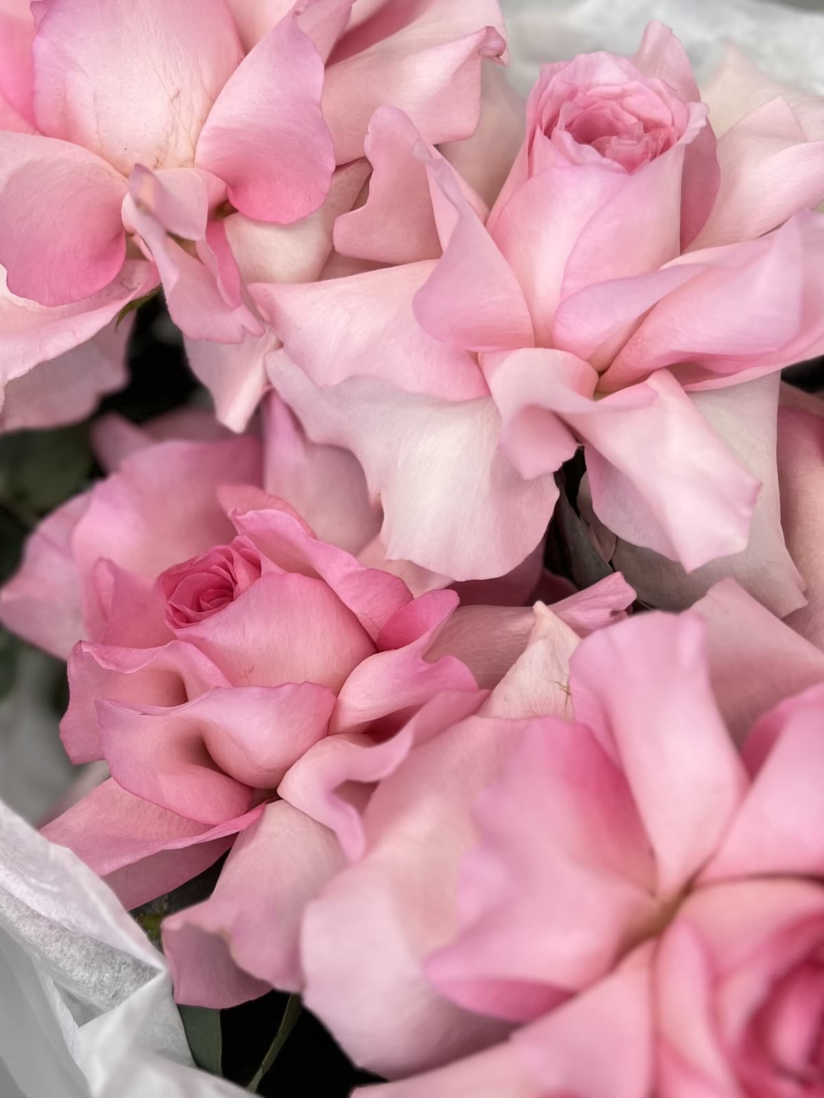 Цветочный букет "Амели" (11)