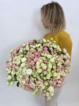 Букет из 101 кустовой розы