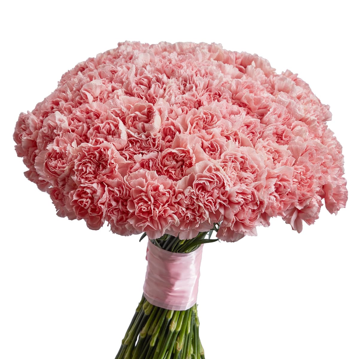 Шикарный букет из 101 розового диантуса