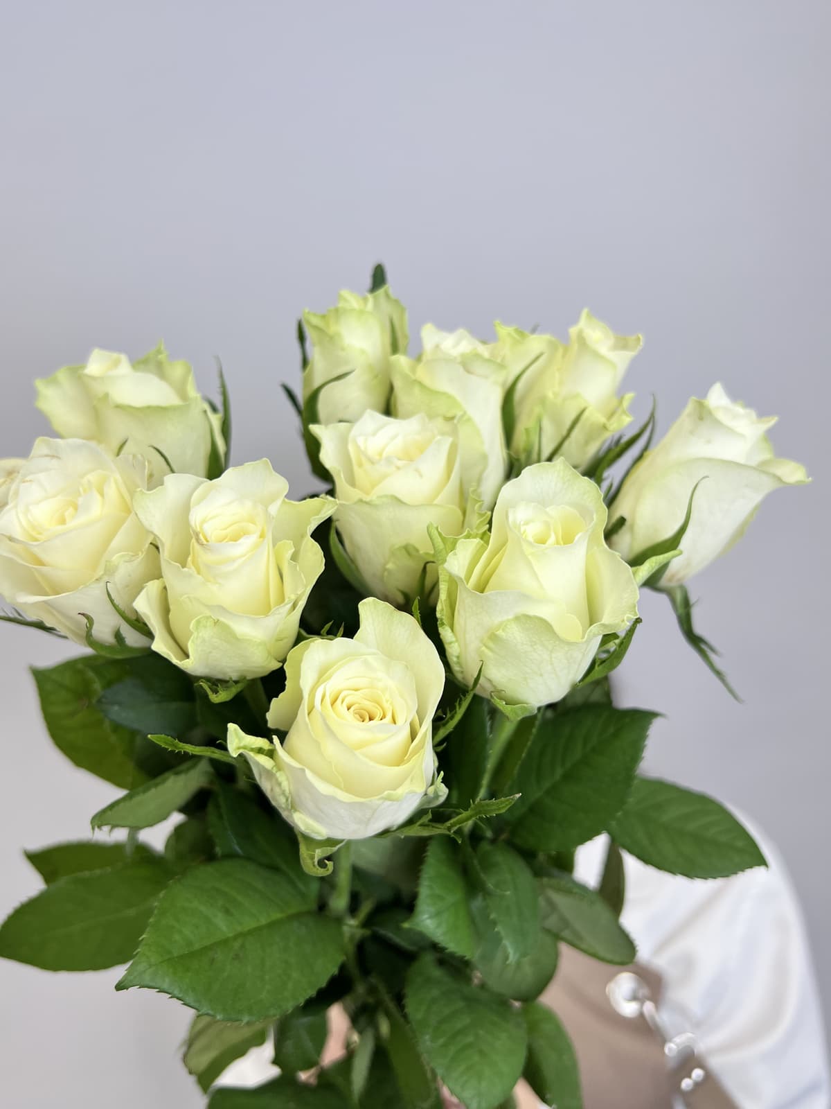 Оригинальный букет из 11 белых роз стандарт 50 см