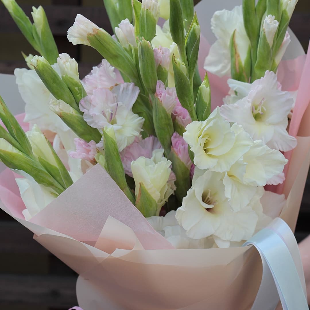 Букет из 11 Гладиолусов в матовой бумаге