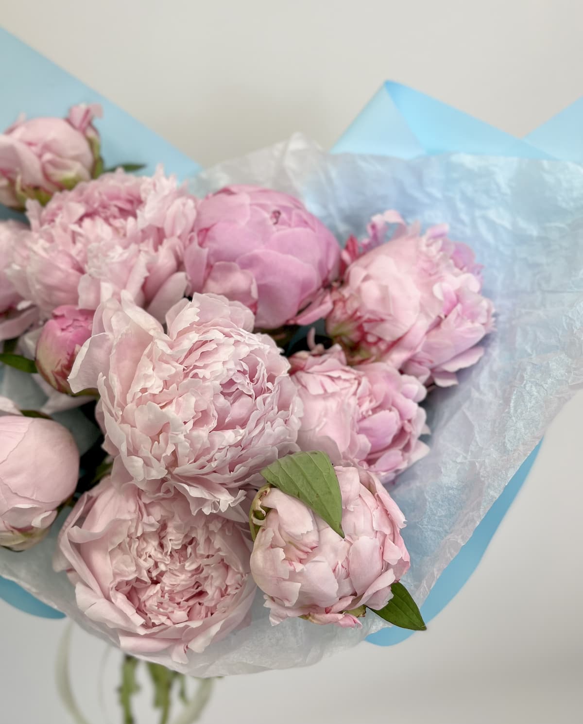 Праздничный букет из 11 Пионов "Сара Бернар”