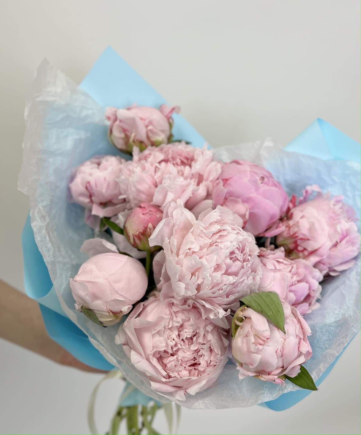 Праздничный букет из 11 Пионов "Сара Бернар”