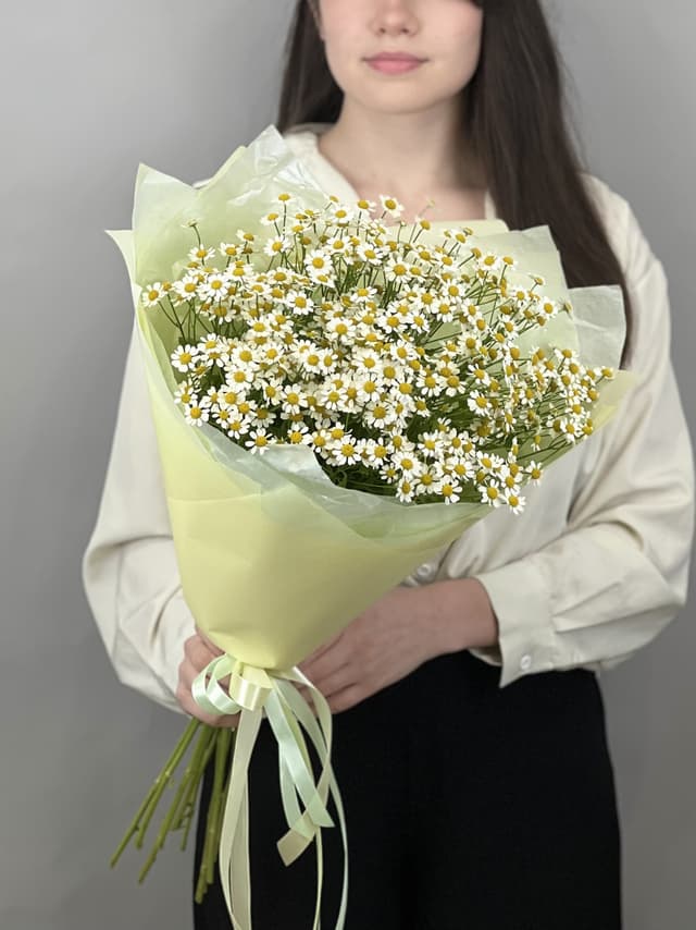 Букет из 11 полевых ромашек Букет из 11 полевых ромашек