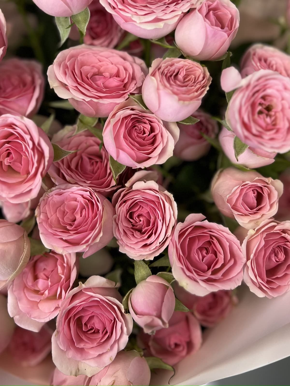 Дизайнерский букет из 11 розовых кустовых роз