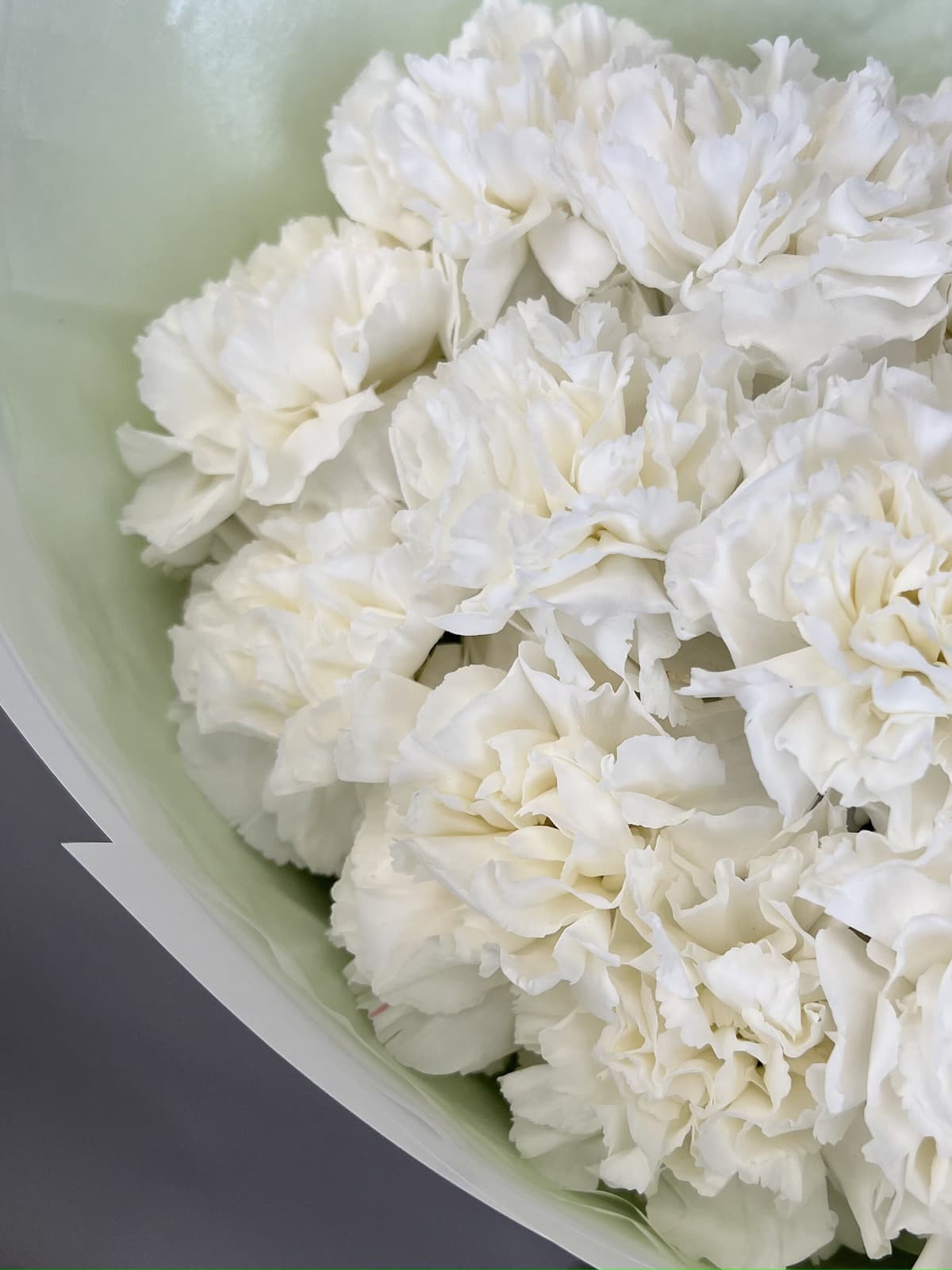 Красивый букет из 15 белых диантусов