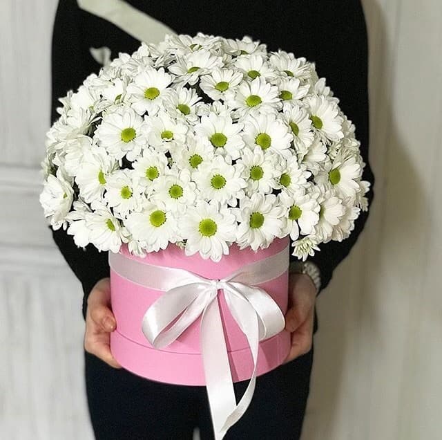 Праздничный букет из 15 белых хризантем в шляпной коробке Праздничный букет из 15 белых хризантем в шляпной коробке