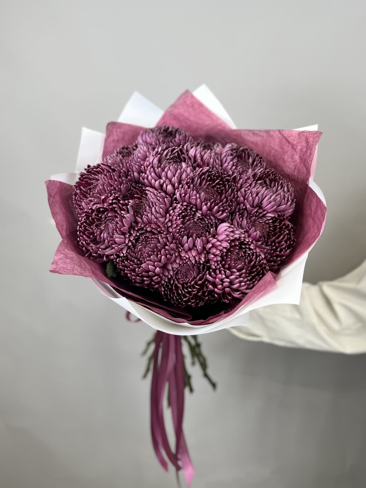 Букет из 15 фиолетовых хризантем Bigoudi