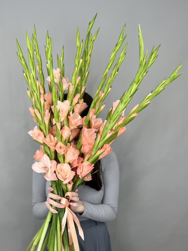 Букет из 15 гладиолусов персик Букет из 15 гладиолусов персик