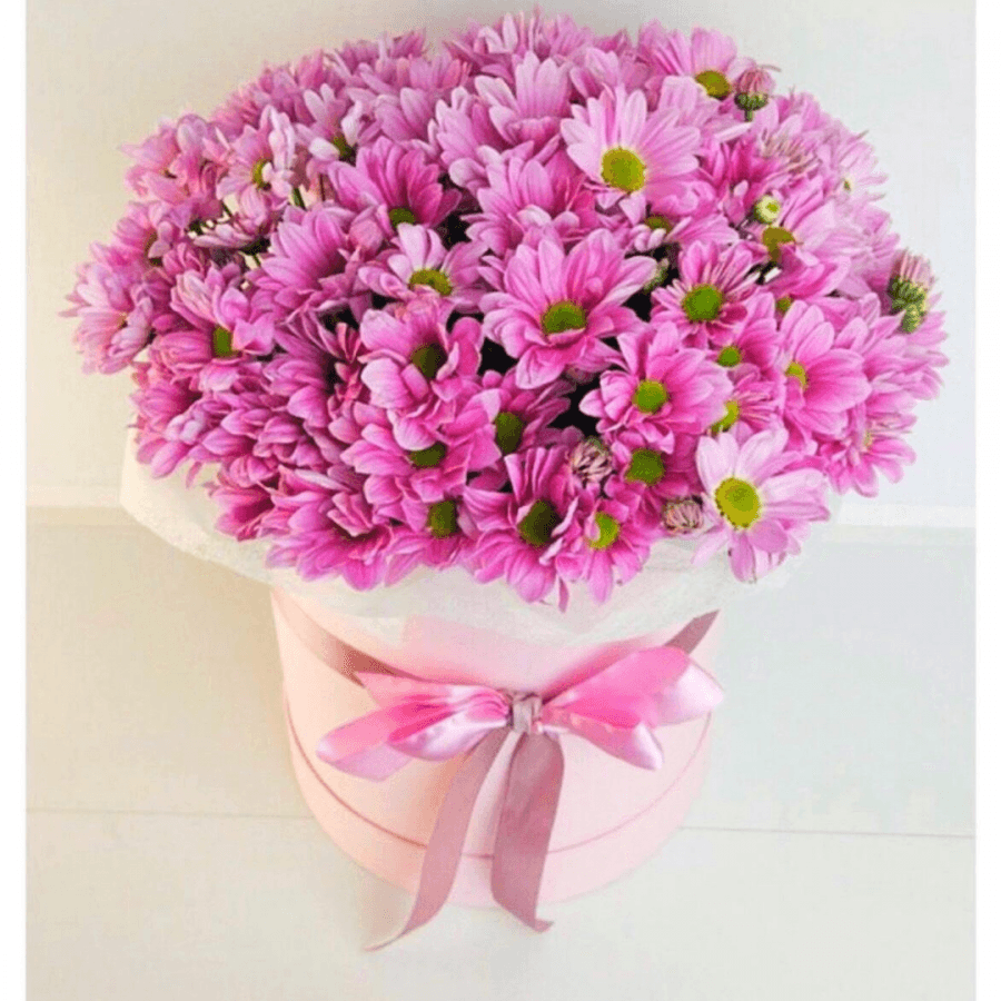 Букет из 15 кустовых хризантем в шляпной коробке (цвет на выбор из ассортимента)