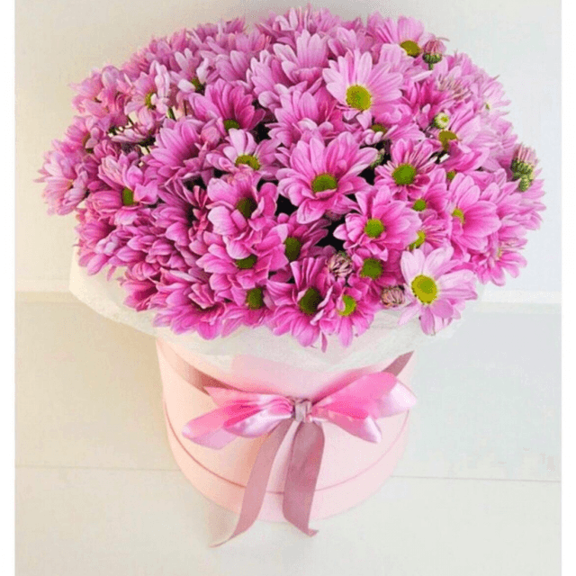 Букет из 15 кустовых хризантем в шляпной коробке (цвет на выбор из ассортимента) Букет из 15 кустовых хризантем в шляпной коробке (цвет на выбор из ассортимента)