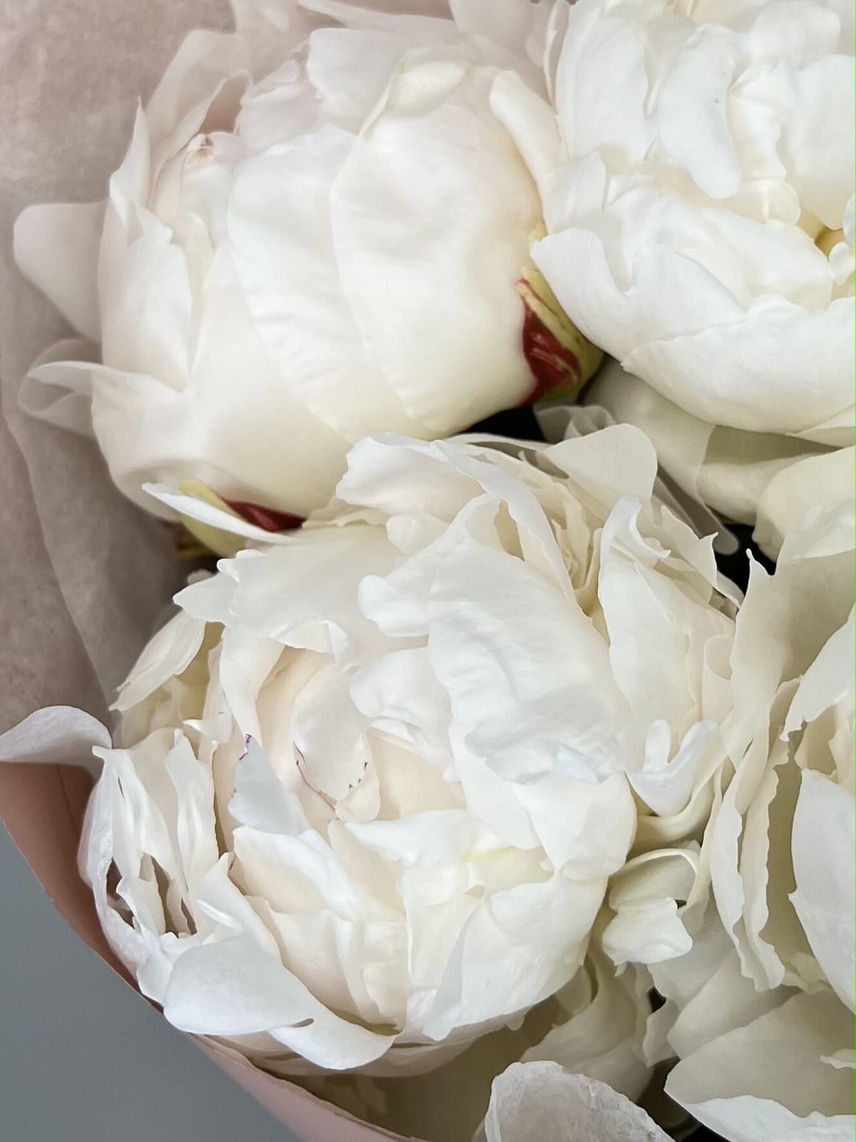 Оригинальный букет из 15 пионов Odile